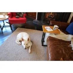 18 in. Black Rectangle Metal Coffee Table with MDF Tabletop by Tidoin -Cheap Tidoin Store black tidoin coffee tables lh ydg1 6369 31 1000