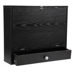 23.5 in. Black Rectangular Wood Floating Desk with 5 Shelves and 1 Drawer by Tidoin 15 23.5 in. Black Rectangular Wood Floating Desk with 5 Shelves and 1 Drawer by Tidoin -Cheap Tidoin Store black tidoin floating desks mz ydw1 9733 1f 1000