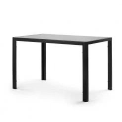 Modern 47.25 in. Rectangle Black Glass Top Dining Table with Metal Frame by Tidoin