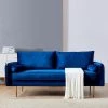 71 in. W Blue Velvet Fabric 2-Seats Sofa with Pocket by Magic Home -Cheap Tidoin Store blue magic home sofas couches cs w24717098 64 1000