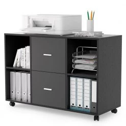 38.98 in. W x 15.75 in. D x 26.77 in. H Dark Gray File Cabinet with 2 Drawers,4 Open Shelves and 4 Wheels by Tidoin 12 38.98 in. W x 15.75 in. D x 26.77 in. H Dark Gray File Cabinet with 2 Drawers,4 Open Shelves and 4 Wheels by Tidoin -Cheap Tidoin Store dark gray tidoin file cabinets jus ydw8 8207 1f 1000