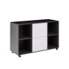 38.98 in. W x 15.75 in. D x 26.77 in. H Light Gray File Cabinet with 2 Drawers,4 Open Shelves and 4 Wheels by Tidoin 2 38.98 in. W x 15.75 in. D x 26.77 in. H Light Gray File Cabinet with 2 Drawers,4 Open Shelves and 4 Wheels by Tidoin -Cheap Tidoin Store light gray tidoin file cabinets jus ydw8 8208 64 1000