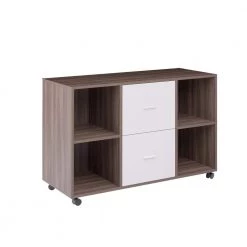 38.98 in. W x 15.75 in. D x 26.77 in. H Light Gray File Cabinet with 2 Drawers,4 Open Shelves and 4 Wheels by Tidoin