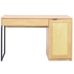 47.2 in. Rectangular Light Wood 1-Drawer Computer Desk with 1-Door and 2-Shelf by Tidoin -Cheap Tidoin Store light wood tidoin computer desks cg ydw1 799 76 1000