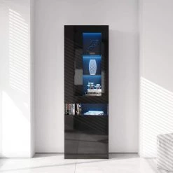 Modern 71.65 in. H Black Freestanding Kitchen Cabinet Accent Storage Cabinet with 2 Doors, 4 Shelves and LED Lights by Tidoin 21 Modern 71.65 in. H Black Freestanding Kitchen Cabinet Accent Storage Cabinet with 2 Doors, 4 Shelves and LED Lights by Tidoin -Cheap Tidoin Store white tidoin accent cabinets js ydw3 0090 31 1000